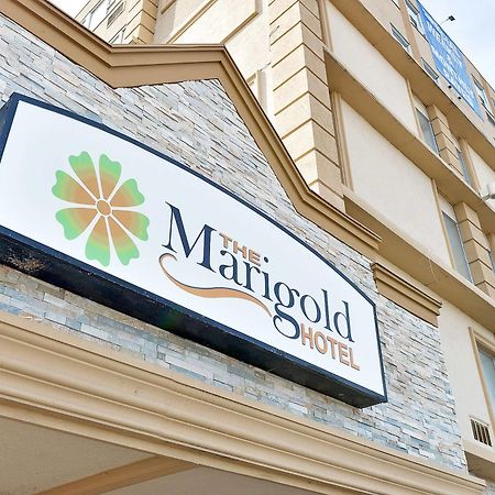 The Marigold Hotel Brampton Eksteriør billede