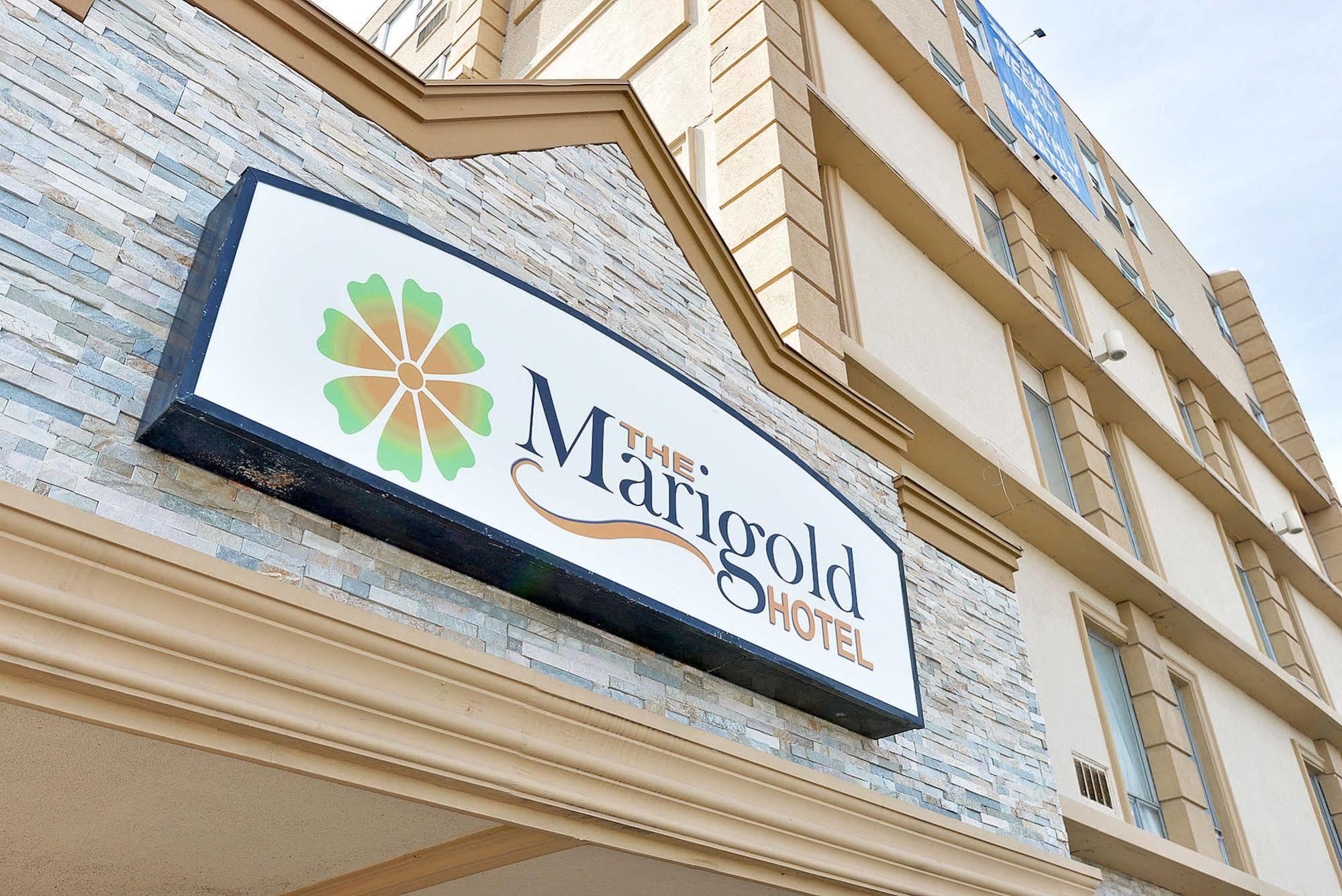 The Marigold Hotel Brampton Eksteriør billede